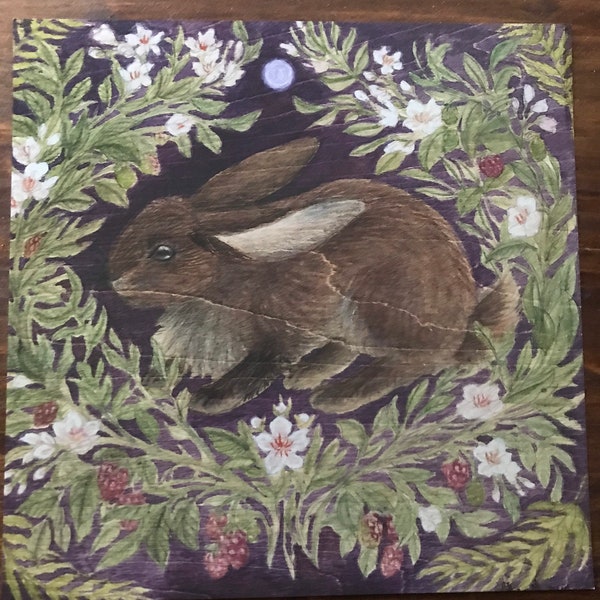 Blackberry Rabbit - Etsy