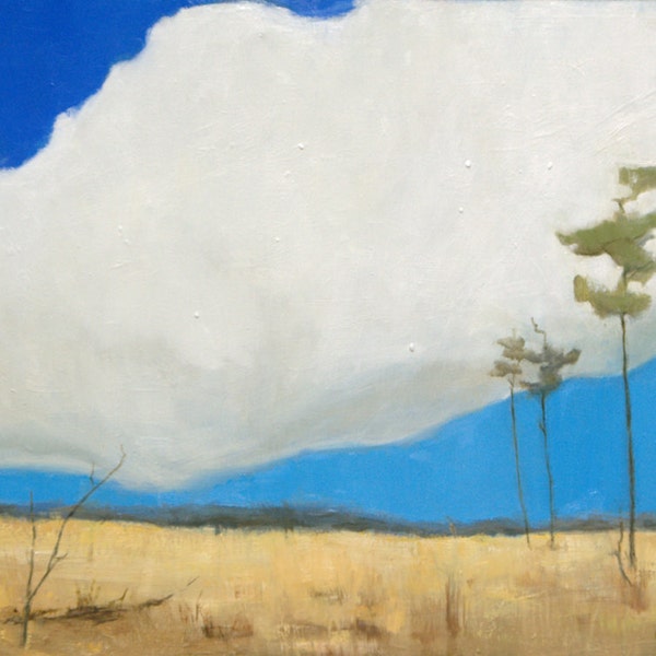 Original Oil Painting - Everglades - Sky - Cloud - Florida Landscape - Grasslands - Pine Trees - Oil - Painting -Field -Meadow - Grass - Art