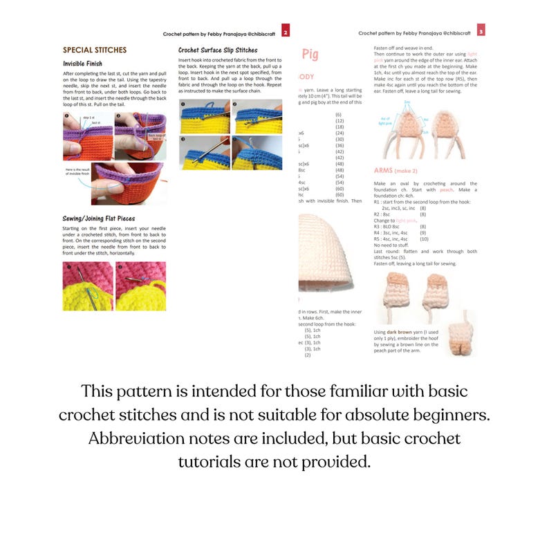 May include: A crochet pattern book with detailed instructions and diagrams. The pages show techniques for special stitches, surface slip stitches, and joining flat pieces. Text at the bottom states the pattern is for those familiar with basic crochet.