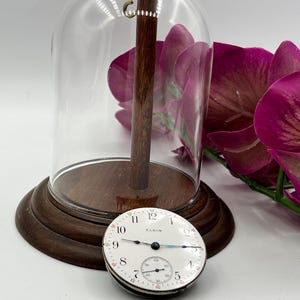 May include: An antique Elgin pocket watch with a white face, black numerals, and a subdial, displayed under a glass cloche. The watch is set on a wooden base, with a dark wooden stand inside the cloche. Purple flowers are in the background.