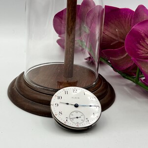 May include: An antique Elgin pocket watch with a white face, black numerals, and a subdial. The watch is displayed under a glass cloche with a wooden base, next to vibrant purple orchid blooms. The cloche is 10 inches tall.