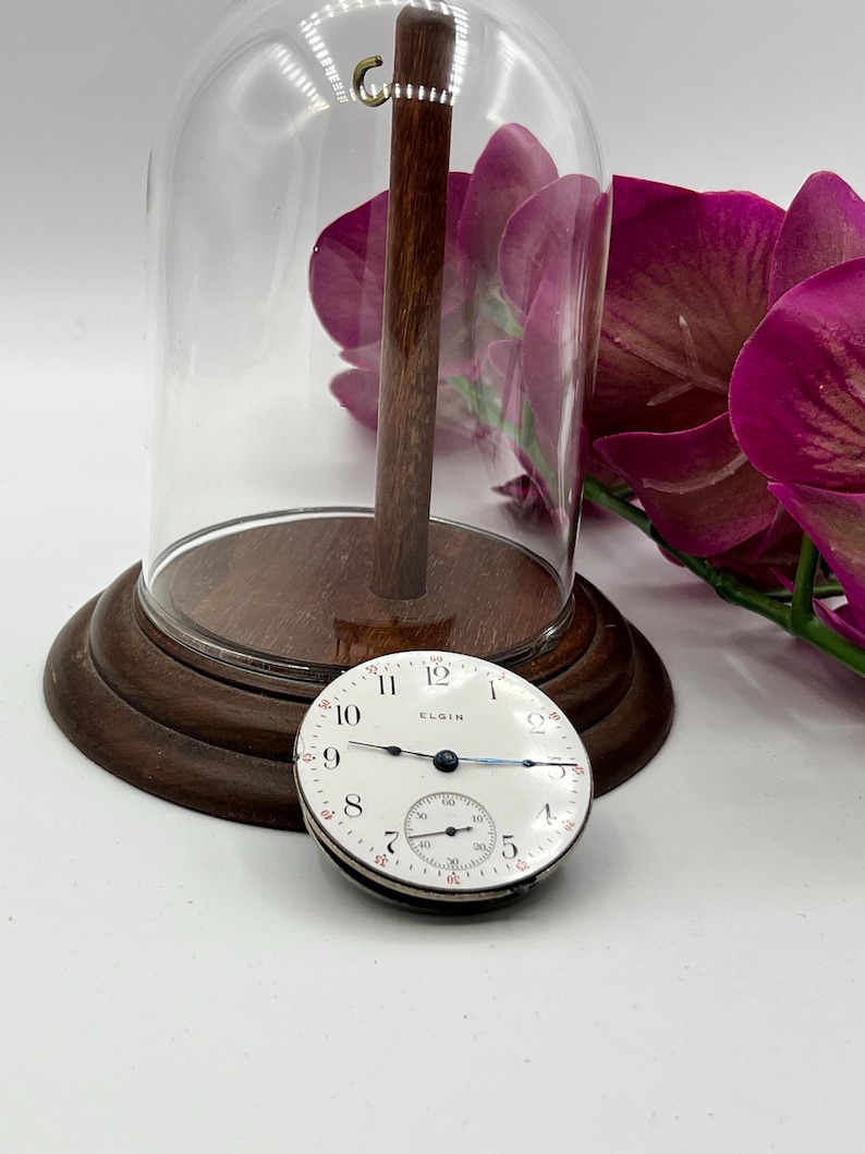 May include: An antique Elgin pocket watch with a white face, black numerals, and a subdial. The watch is displayed under a glass cloche with a wooden base, next to vibrant purple orchid blooms. The cloche is 10 inches tall.