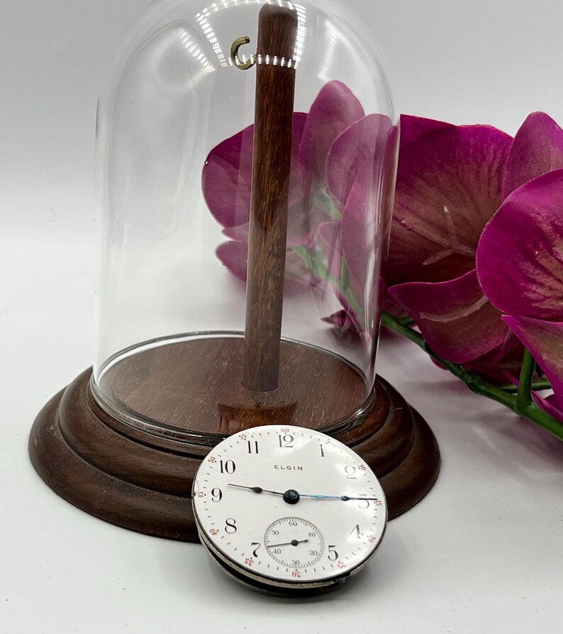 May include: An antique Elgin pocket watch with a white face, black numerals, and a subdial, displayed under a glass cloche. The watch is set on a wooden base, with a dark wooden stand inside the cloche. Purple flowers are in the background.