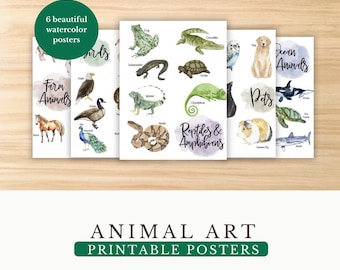 Animal Wall Art Printables: Educational Kids Room Decor (PDF Download)