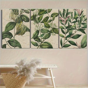 Juego de 3 impresiones botánicas para pared: láminas vintage con ilustraciones de plantas, decoración natural con hojas verdes, pósteres botánicos minimalistas para sala de estar.