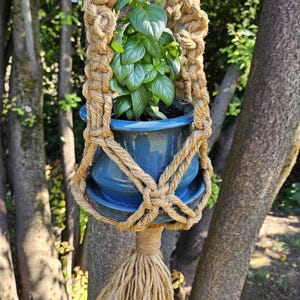 May include: A vibrant green basil plant sits inside a glossy, deep blue ceramic pot with a matching saucer. The pot is held by a natural tan jute macrame hanger featuring intricate knotted patterns and a long, frayed tassel hanging at the bottom.