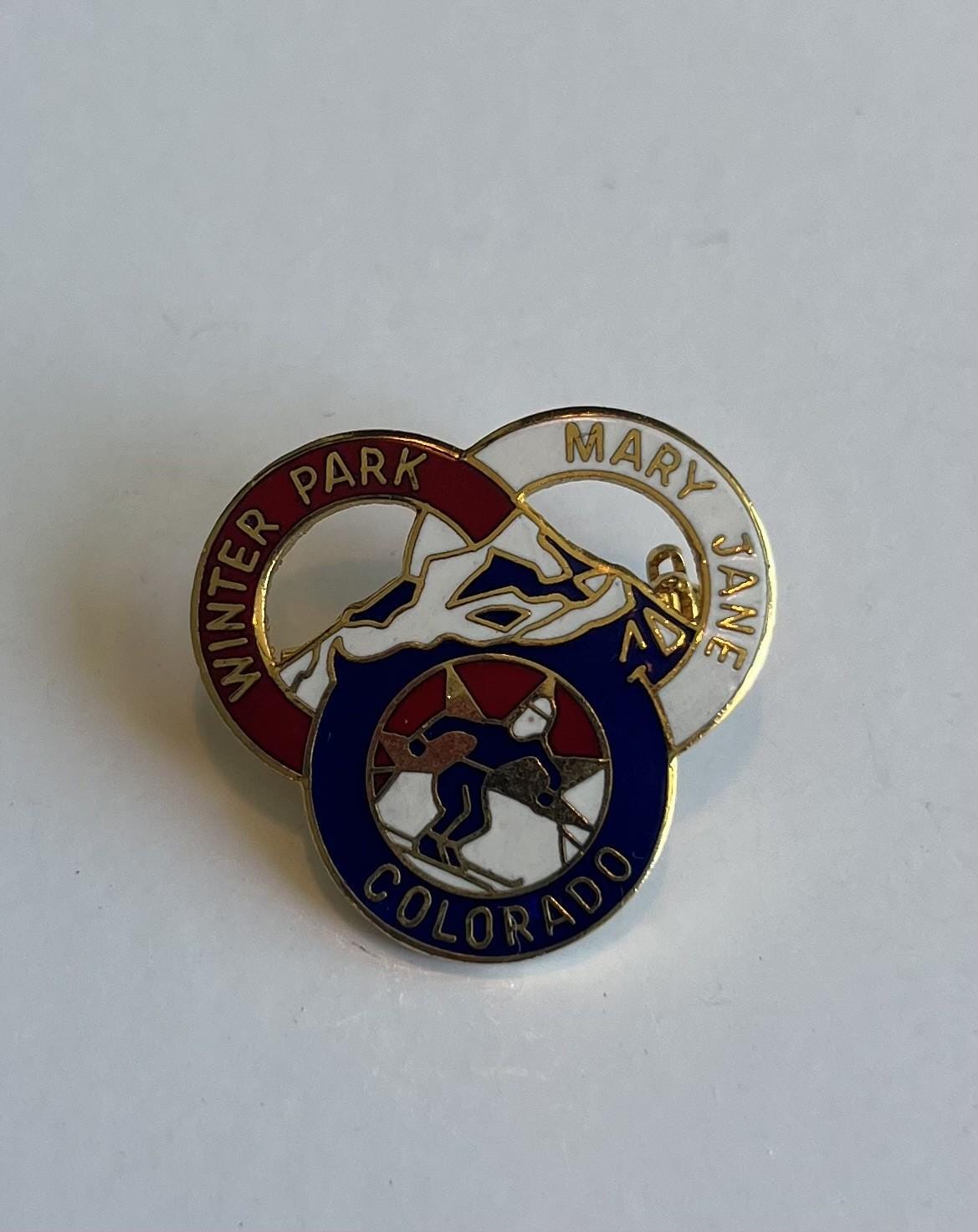 B01 Broche LION'S CLUB INTERNATIONAL INDIA Arise & Awake Vintage Badge