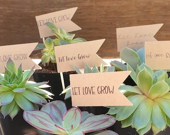 Favor Flags | Let Love Grow Picks | Succulent Wedding Favors for Guests in Bulk, Bridal Shower Favors