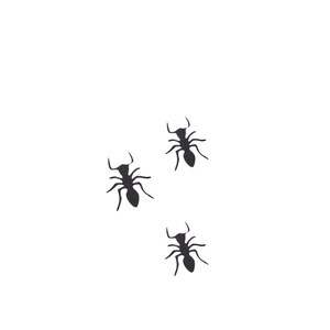 Puede incluir: Mezcla de confeti con el texto "PICNIC ANTS" en letras marrones. Tres hormigas negras en silueta están dispersas sobre un fondo blanco.