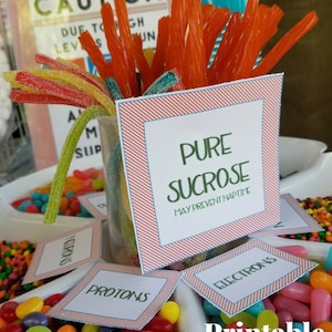 Science Birthday Party Printables | Science Party Labels | 24 Pages
