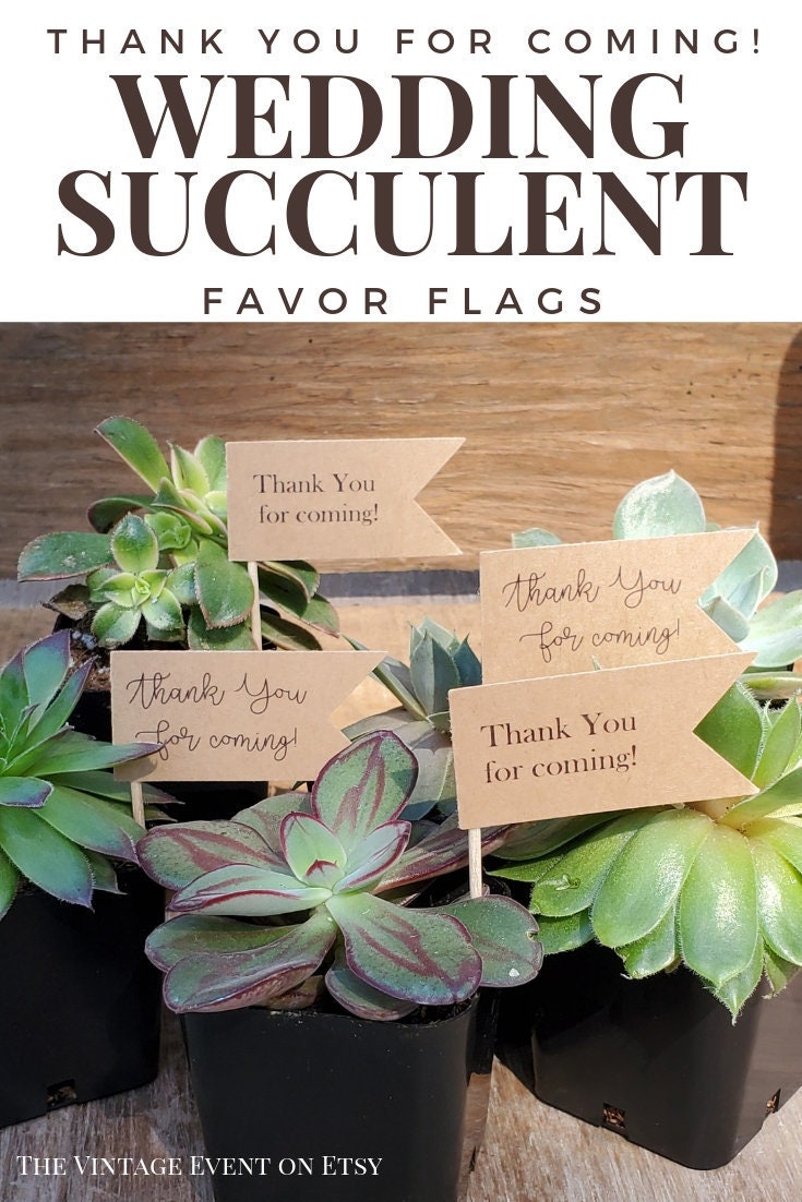 Flags Succulent Wedding Favors