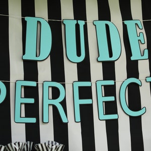 May include: A banner with the words "DUDE PERFECT" in large, light blue letters against a black and white striped background.