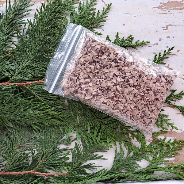 Biodegradable Cardstock Etsy