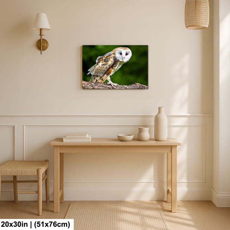 Barn Owl Wall Art: Calm Wildlife Photo, Rustic Nature Decor - Etsy