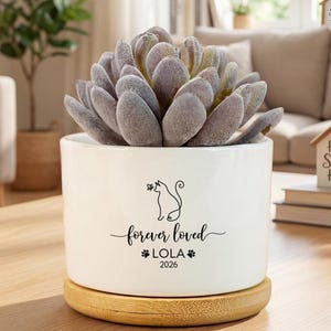 May include: A white ceramic planter with a succulent plant, sitting on a wooden base. The planter has a black cat silhouette with the words "forever loved", the name "LOLA", and the year "2026".