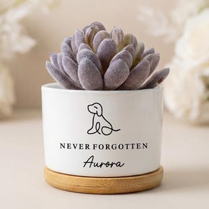 Könnte beinhalten: Ein weißer Keramik-Pflanztopf mit einer Sukkulente. Der Topf zeigt eine Strichzeichnung eines Hundes, die Worte "NEVER FORGOTTEN" und "Aurora" in Schwarz. Er steht auf einem runden Holzuntersetzer.