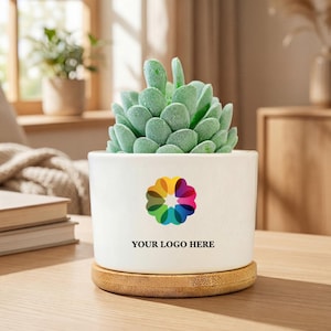 May include: A white ceramic planter with a colorful logo and the text "YOUR LOGO HERE" contains a green succulent plant. The planter sits on a round, light brown bamboo coaster. The background includes a window and wooden furniture.