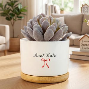 Può includere: Un vaso di ceramica bianco con la scritta "Aunt Kate" e un fiocco rosso, contenente una pianta succulenta. Il vaso poggia su una base rotonda in legno chiaro. La succulenta ha foglie morbide, grigio-verdi.