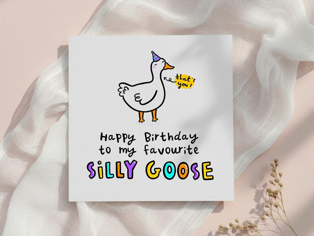 Silly Goose Birthday Card, Cute Hand Drawn Goose Illustration, Funny ...