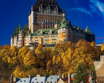 May include: A view of a large, brick building with a green roof, surrounded by trees. The building is located on a hill overlooking a street lined with smaller buildings. The street is empty and the sky is blue.