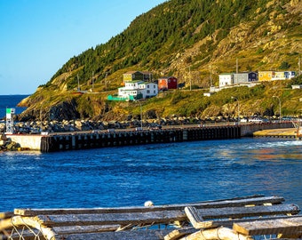 Portugal Cove Harbour, Newfoundland Art, newfoundland print, Newfoundland and labrador, Newfoundland Artist