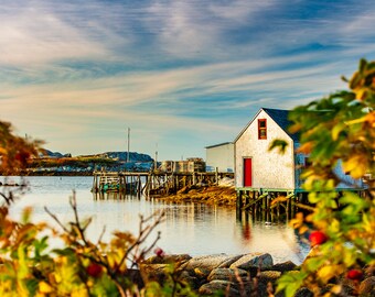 May include: A white wooden house with a red door sits on stilts over the water. The house is surrounded by rocks and a small dock. The water is calm and reflects the sky, which is a light blue with white clouds. The house is framed by a bush with yellow and green leaves.
