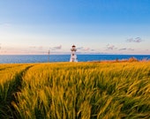 Prince Edward Island's Cape Tryon Lighthouse, wall decor, pei art, Prince Edward Island Wall Art, Photography, living room, sunset, PEI,
