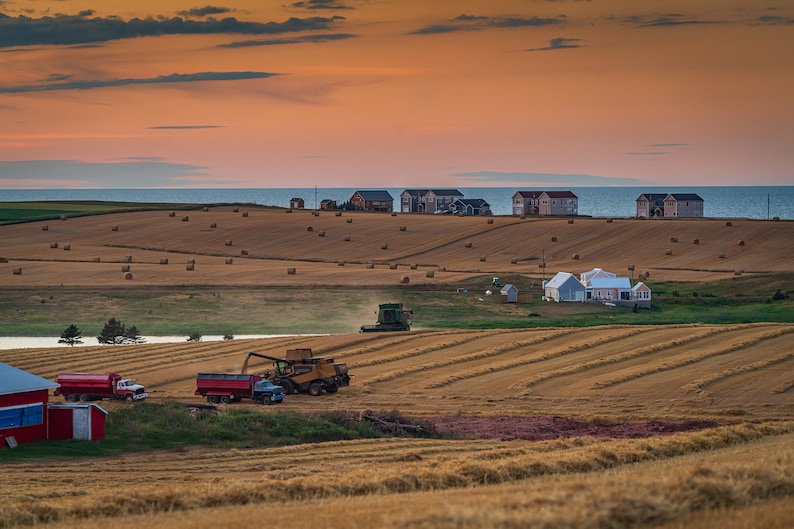 30x40 PEI Fall Harvest, a PEI Print, Charlottetown, Prince Edward Island Wall Art, Photography, pei photo, pei art, pei prints image 1