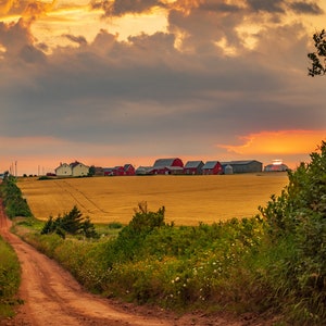 PEI sunset on the farm, PEI Print, pei wall decor, pei art, Prince Edward Island Wall Art, Photography, living room, bedroom
