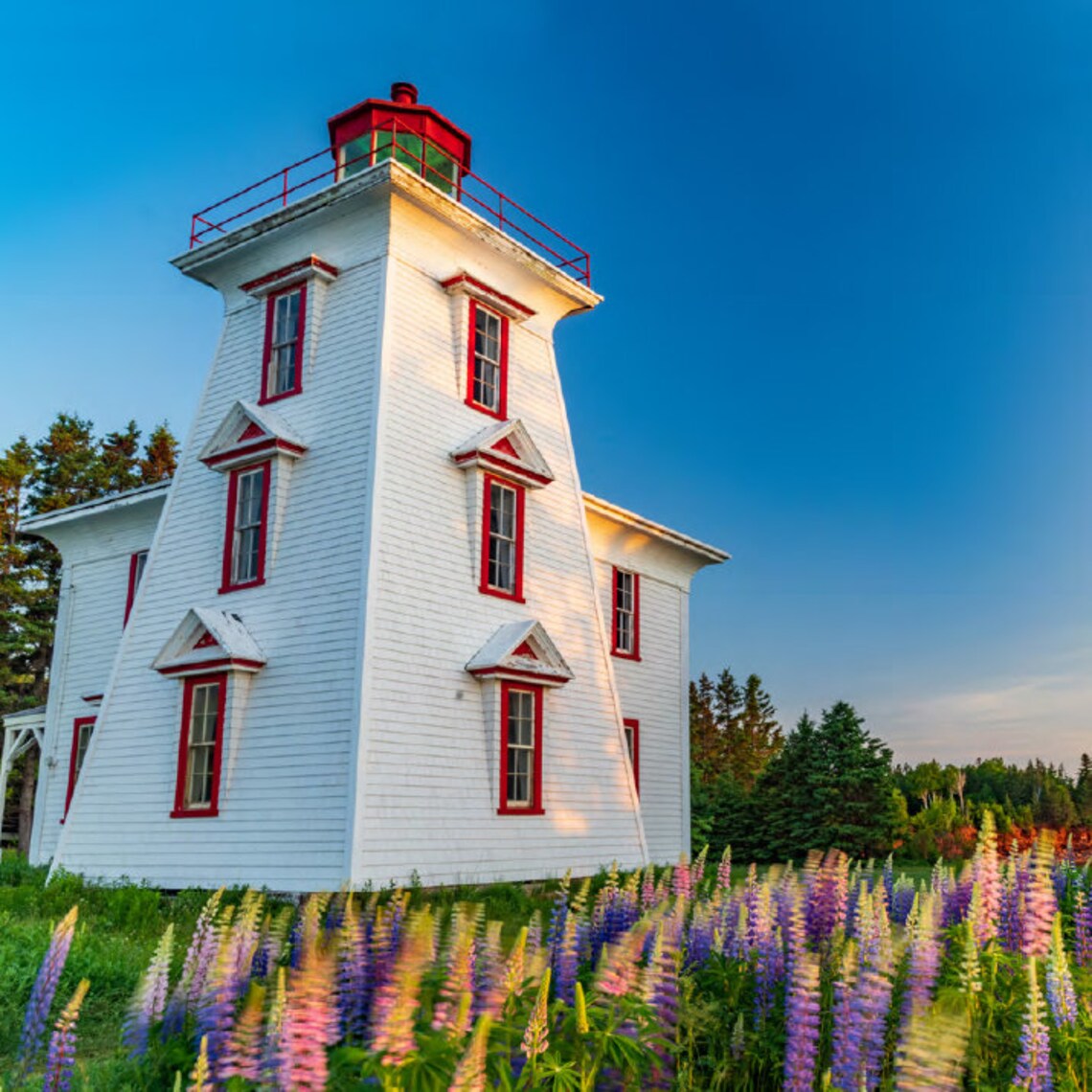 2022 Small Prince Edward Island Wall Calendar 6.5x6.5 | Etsy