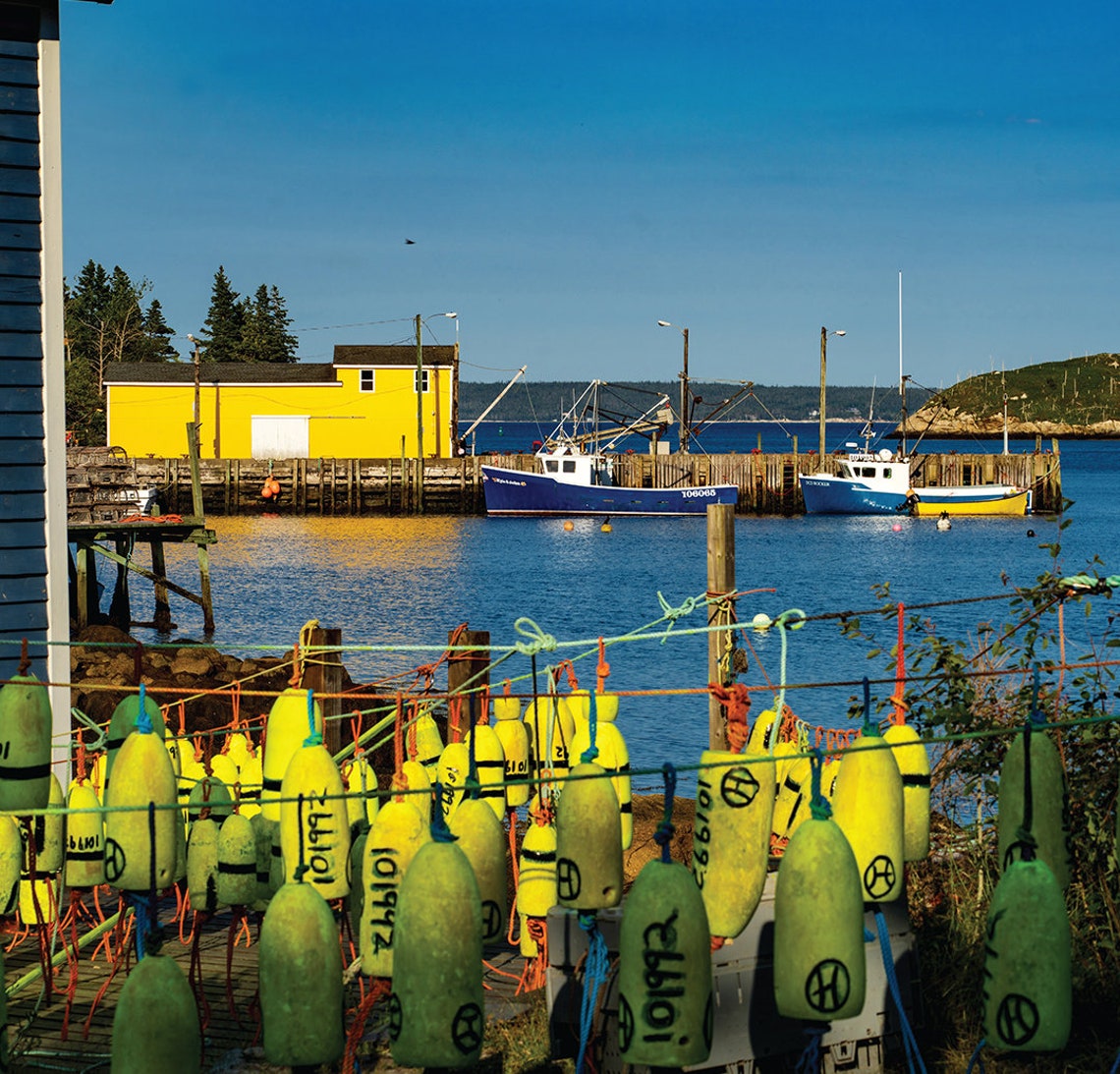 2024 Calendar Nova Scotia Printable Lenna Nicolle
