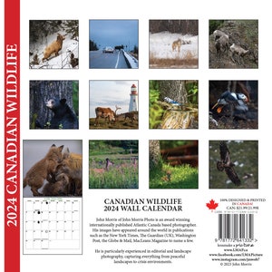 2024 Large Canadian Wildlife Wall Calendar, 12x11.5, calendar, foxes, red fox, grey fox, silver fox, image 6