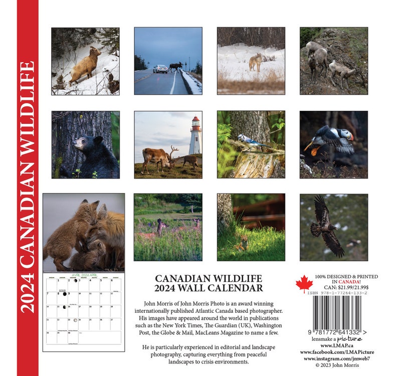 2024 Large Canadian Wildlife Wall Calendar, 12x11.5, calendar, foxes, red fox, grey fox, silver fox, image 6