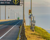 8.5x11" Foxes on the Confederation Bridge, Prince Edward Island, PEI Art Prints, Living Room Wall Art, home, red fox, Vulpes vulpes, foxes