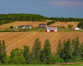 PEI Scenic Farmland on Prince Edward Island, PEI Art, pei Prints, pei wall decor, Living Room Wall Art, farmhouse decor