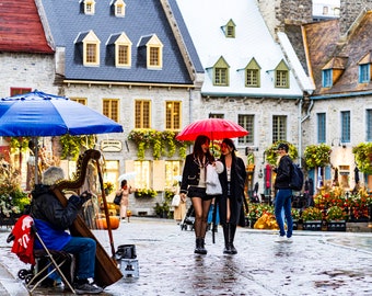 Könnte beinhalten: Zwei Personen gehen unter einem roten Regenschirm auf einer Kopfsteinpflasterstraße in einer Stadt. Ein Straßenmusiker spielt eine Harfe unter einem blauen Regenschirm.