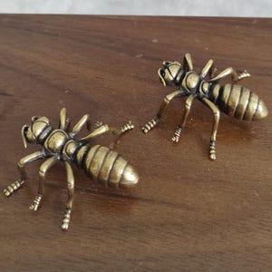 May include: Two brass-colored metal ant figurines. The ants are detailed with six legs, segmented bodies, and antennae. They are positioned on a dark brown wooden surface, with one ant facing the other.