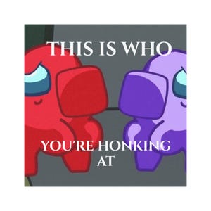 Funny Among Us Car Magnet