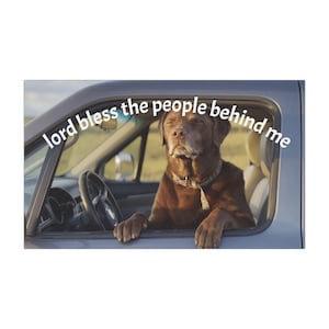 Funny Dog Car Magnet