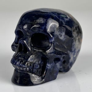 May include: A polished skull carving crafted from deep blue sodalite stone, featuring natural white and grey mineral inclusions throughout the surface, with detailed eye sockets, a nasal cavity, and defined teeth carved into the stone.