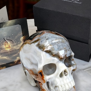 3 Inch Crazy Lace Agate Skull – Hand Carved Healing Crystal Skull