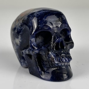 May include: A polished skull carving crafted from deep blue sodalite stone. The mineral features natural white and grey mottled inclusions throughout its surface, with detailed anatomical features including eye sockets, a nasal cavity, and teeth.