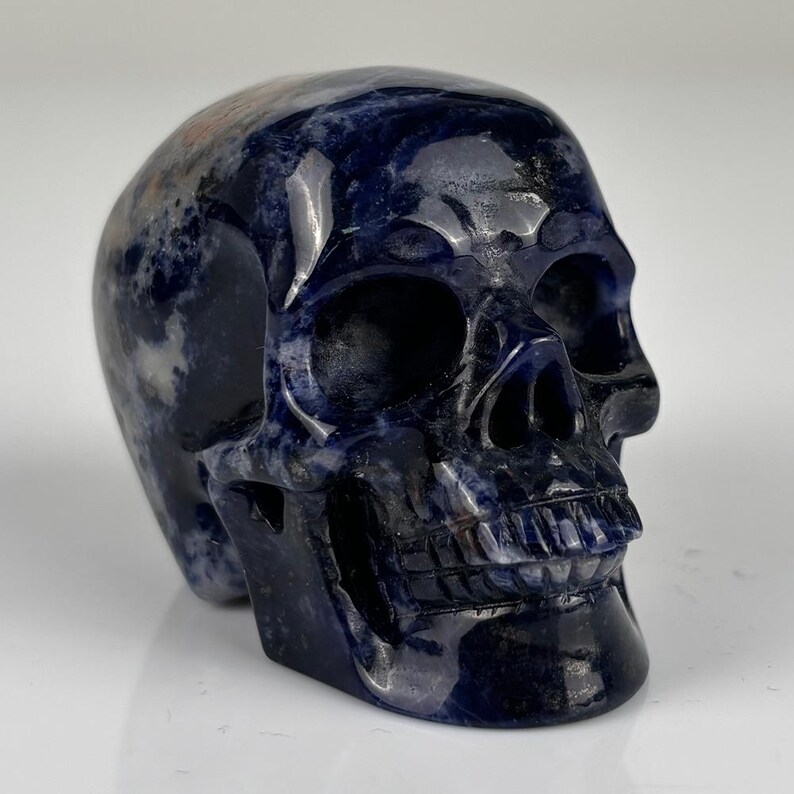 May include: A polished skull carving crafted from deep blue sodalite stone. The mineral features natural white and grey mottled inclusions throughout its surface, with detailed anatomical features including eye sockets, a nasal cavity, and teeth.