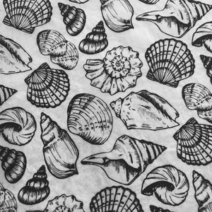 May include: Black and white illustration of various seashells. The image features detailed drawings of different types of shells, including spiral, conch, and fan-shaped varieties. The shells are arranged on a textured, off-white background.