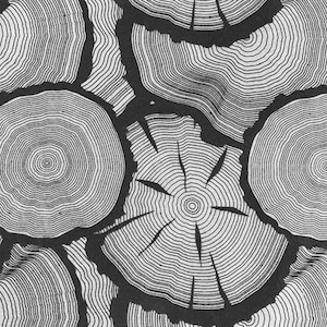 Venature del legno - Foglio di trasferimento sotto smalto - Scegli il colore