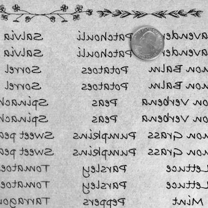 Nombres de hierbas y verduras - Hoja de transferencia bajo glaseado