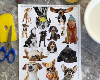 Doggos from Photo - Overglaze Decal Sheet