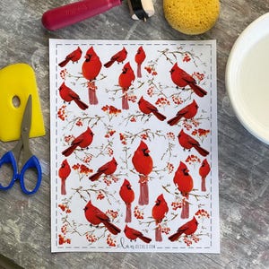 Puede incluir: Una hoja de pegatinas con pájaros cardenales rojos posados en ramas con bayas rojas. Las pegatinas están sobre un fondo blanco con un borde punteado. El texto "elan.decals.com" es visible en la parte inferior.