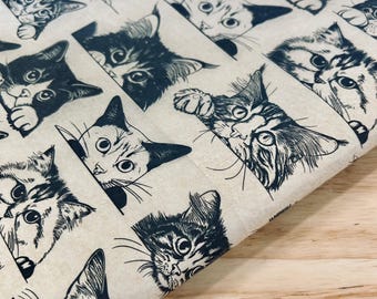 Zany Cats - Arkusz transferowy do podszkliw