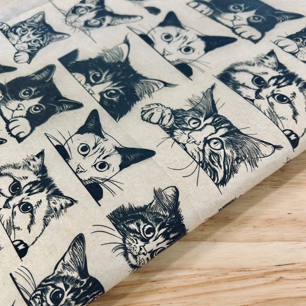 Zany Cats - Décalcomanie sous glaçure